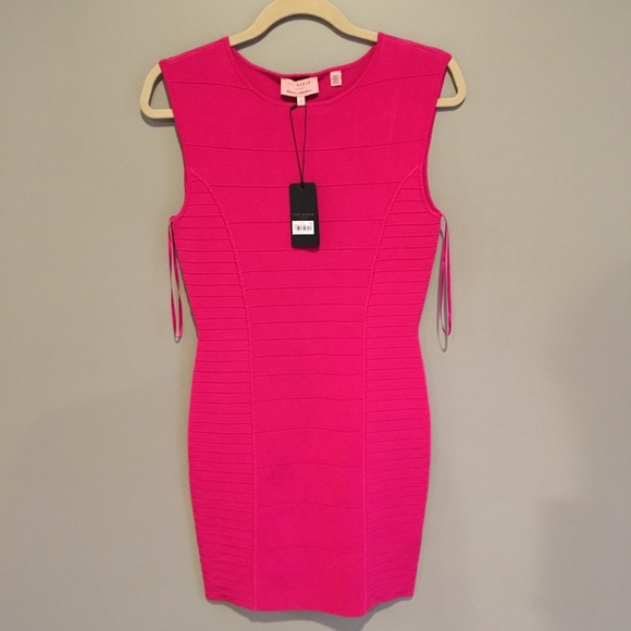 Ted Baker London Dresses & Skirts - Ted Baker Silhouette Dress